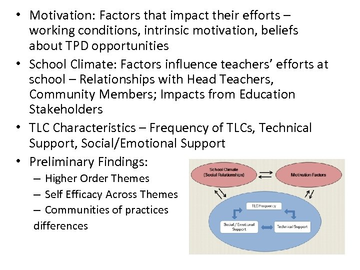  • Motivation: Factors that impact their efforts – working conditions, intrinsic motivation, beliefs