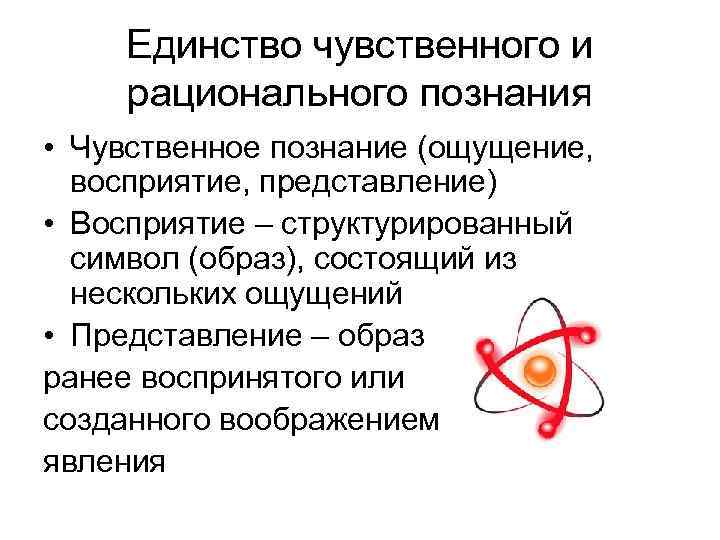 Единство чувственного и рационального познания • Чувственное познание (ощущение, восприятие, представление) • Восприятие –