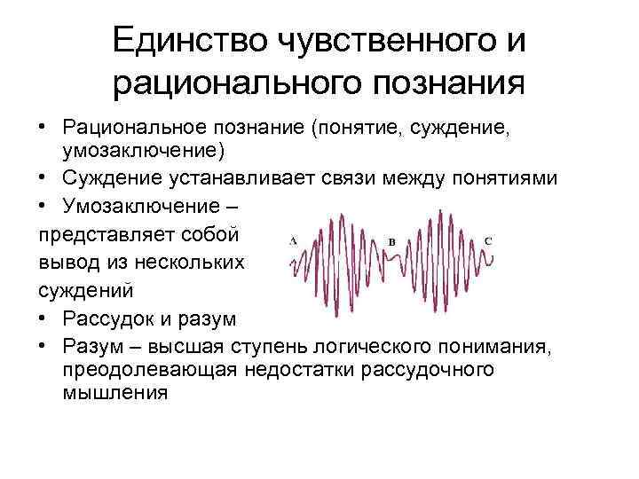 Единство чувственного и рационального познания • Рациональное познание (понятие, суждение, умозаключение) • Суждение устанавливает
