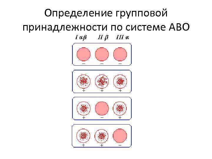 Определение групповой принадлежности по системе АВО 