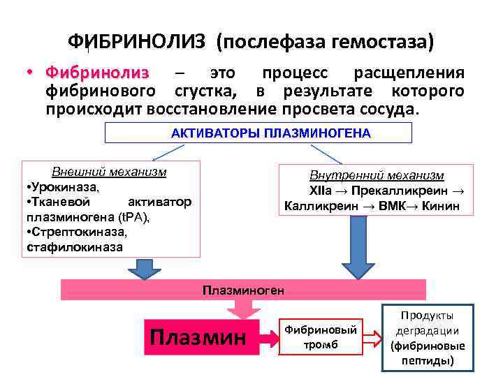 ФИБРИНОЛИЗ (послефаза гемостаза) • Фибринолиз – это процесс расщепления Фибринолиз фибринового сгустка, в результате