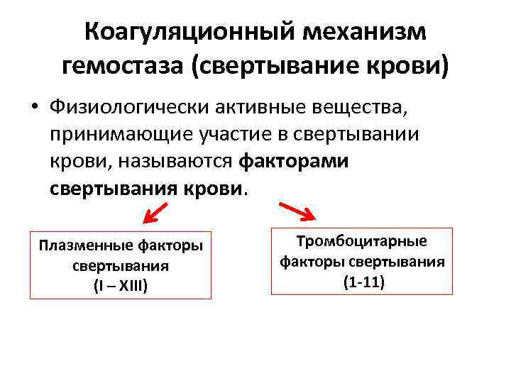 Коагуляционный механизм гемостаза (свертывание крови) • Физиологически активные вещества, принимающие участие в свертывании крови,