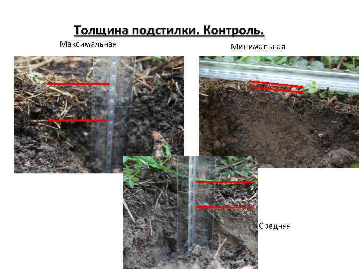 Толщина подстилки. Контроль. Максимальная Минимальная Средняя 