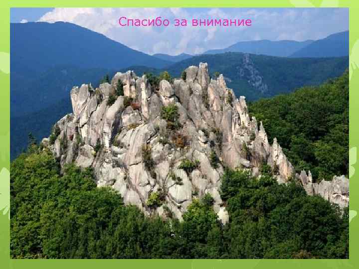 Спасибо за внимание 