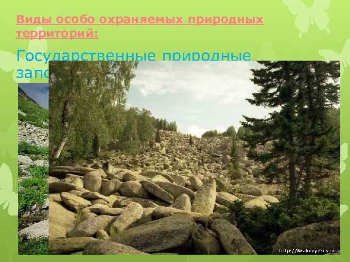 Виды особо охраняемых природных территорий: Государственные природные заповедники 