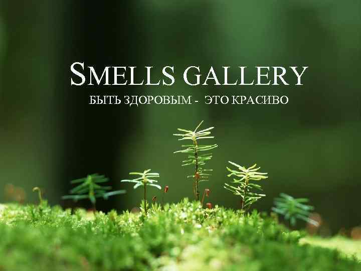 SMELLS GALLERY БЫТЬ ЗДОРОВЫМ - ЭТО КРАСИВО 