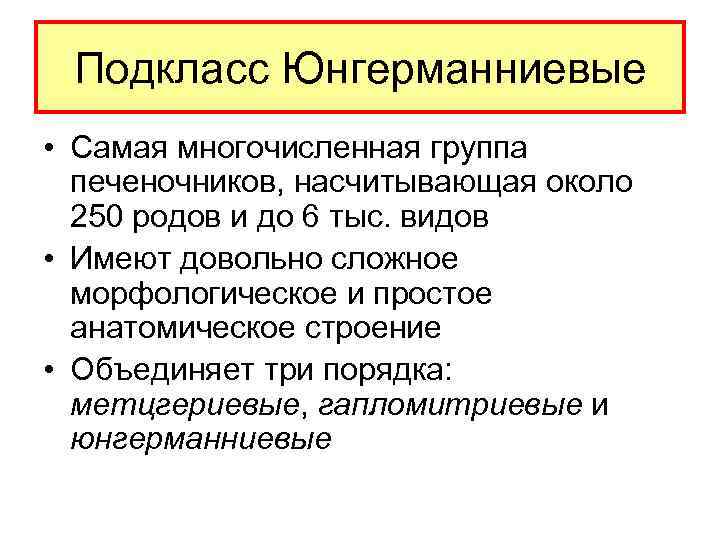 Подкласс Юнгерманниевые • Самая многочисленная группа печеночников, насчитывающая около 250 родов и до 6