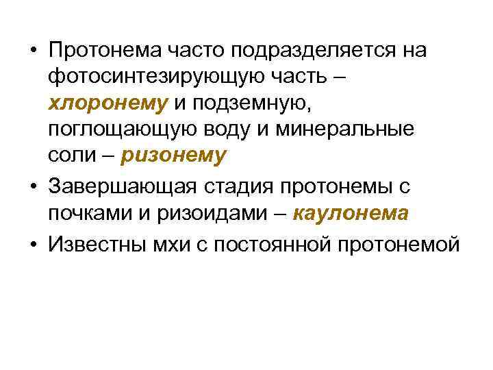  • Протонема часто подразделяется на фотосинтезирующую часть – хлоронему и подземную, поглощающую воду