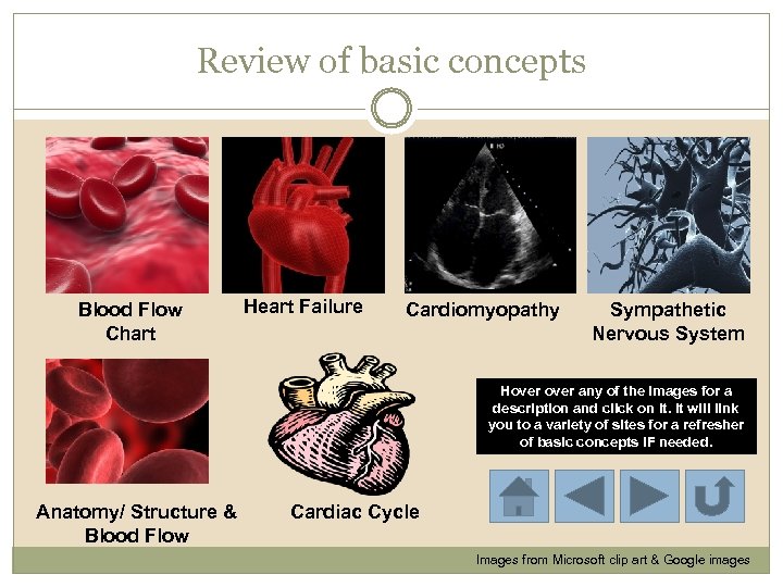 Review of basic concepts Blood Flow Chart Heart Failure Cardiomyopathy Sympathetic Nervous System Hover