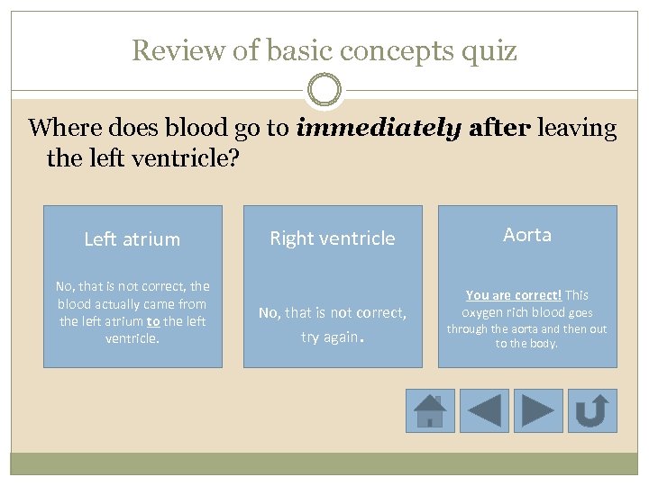 Review of basic concepts quiz Where does blood go to immediately after leaving the