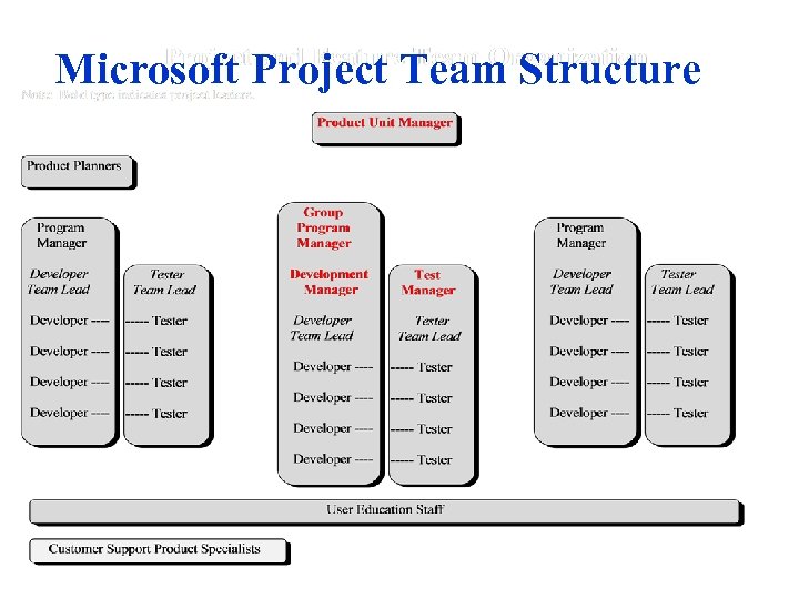 Microsoft Project Team Structure 