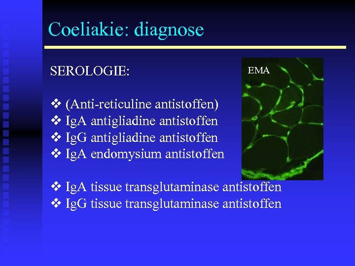 Coeliakie: diagnose SEROLOGIE: EMA v (Anti-reticuline antistoffen) v Ig. A antigliadine antistoffen v Ig.