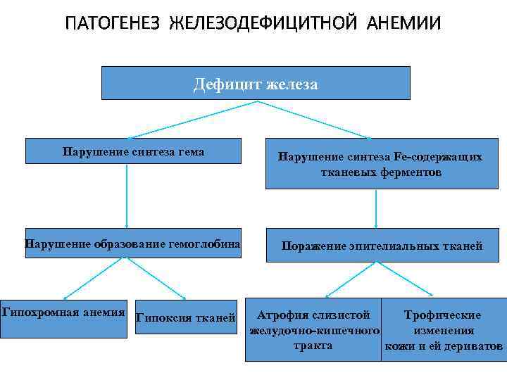 ПАТОГЕНЕЗ ЖЕЛЕЗОДЕФИЦИТНОЙ АНЕМИИ Дефицит железа Нарушение синтеза гема Нарушение синтеза Fe-содержащих тканевых ферментов Нарушение