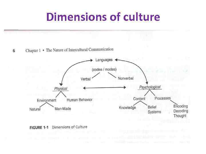 Dimensions of culture 