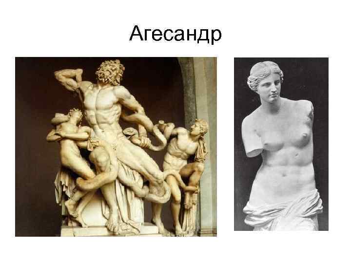 Агесандр 