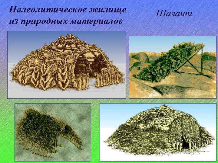 Палеолитическое жилище из природных материалов Шалаши 