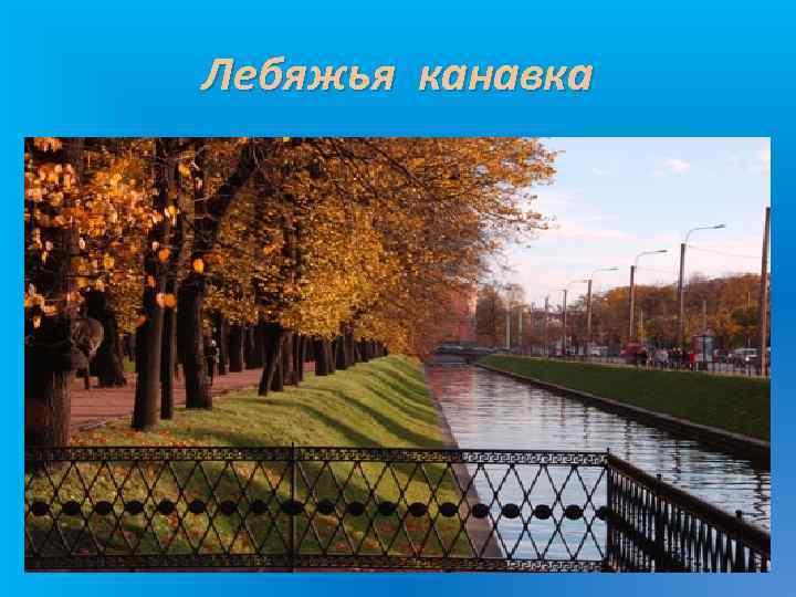 Лебяжья канавка 