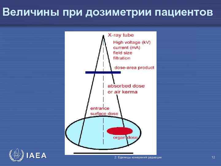 Величины при дозиметрии пациентов IAEA 2: Единицы измерения радиации 12 