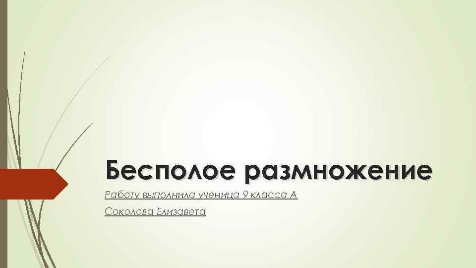Бесполое размножение Работу выполнила ученица 9 класса А Соколова Елизавета 