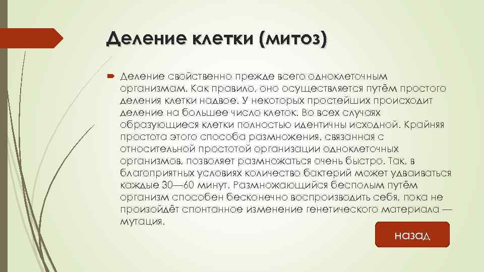 Деление клетки (митоз) Деление свойственно прежде всего одноклеточным организмам. Как правило, оно осуществляется путём
