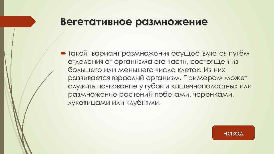 Вегетативное размножение Такой вариант размножения осуществляется путём отделения от организма его части, состоящей из