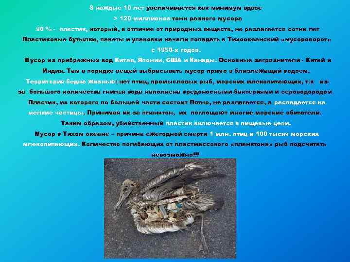 S каждые 10 лет увеличивается как минимум вдвое > 120 миллионов тонн разного мусора