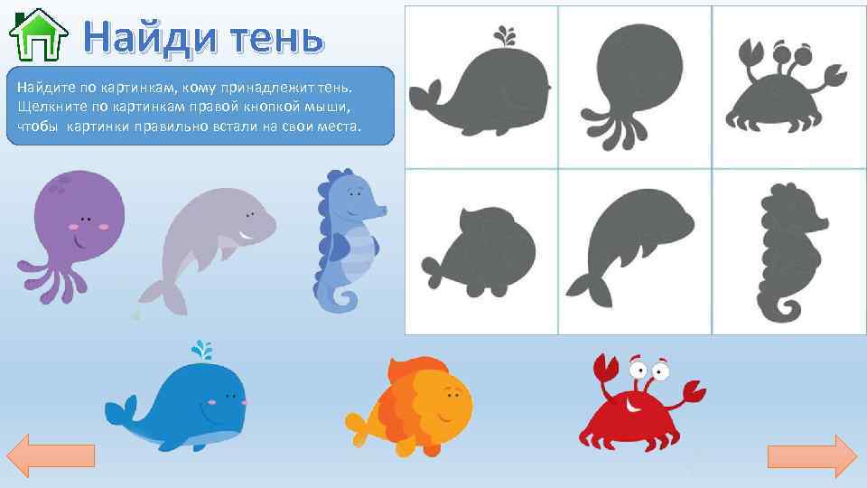 Найди тень Найдите по картинкам, кому принадлежит тень. Щелкните по картинкам правой кнопкой мыши,