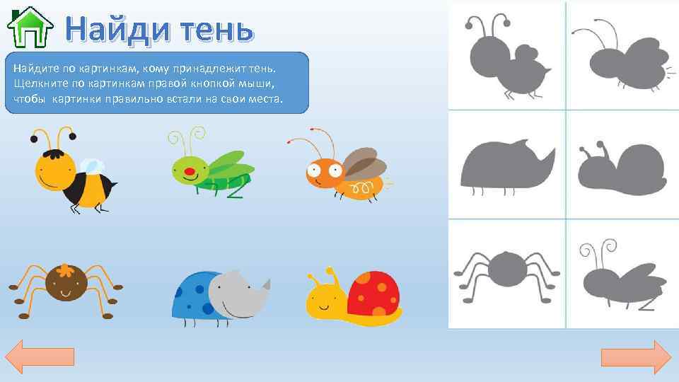 Найди тень Найдите по картинкам, кому принадлежит тень. Щелкните по картинкам правой кнопкой мыши,