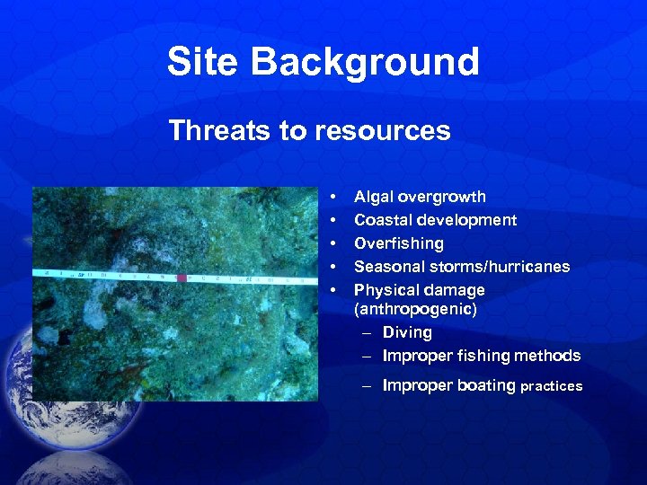 Site Background Threats to resources • • • Algal overgrowth Coastal development Overfishing Seasonal