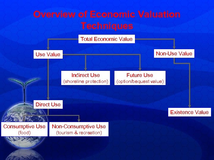 Overview of Economic Valuation Techniques Total Economic Value Non-Use Value Indirect Use Future Use