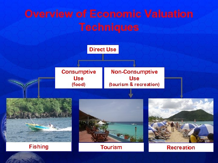 Overview of Economic Valuation Techniques Direct Use Consumptive Use (food) Fishing Non-Consumptive Use (tourism