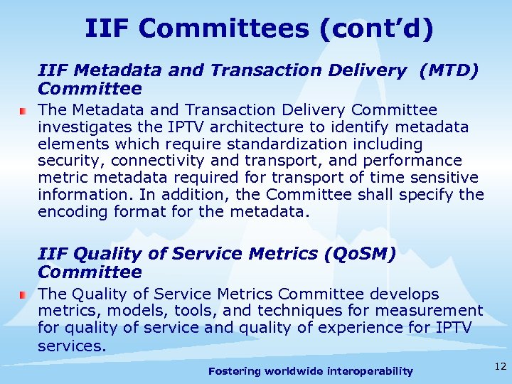 IIF Committees (cont’d) IIF Metadata and Transaction Delivery (MTD) Committee The Metadata and Transaction