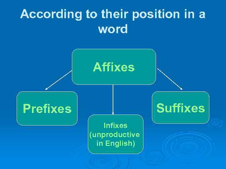 According to their position in a word Affixes Suffixes Prefixes Infixes (unproductive in English)