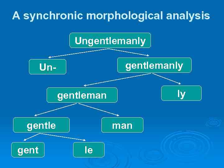 A synchronic morphological analysis Ungentlemanly Un- ly gentleman gentle gent man le 