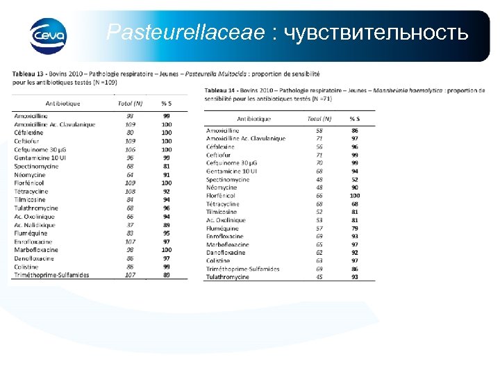 Pasteurellaceae : чувствительность 