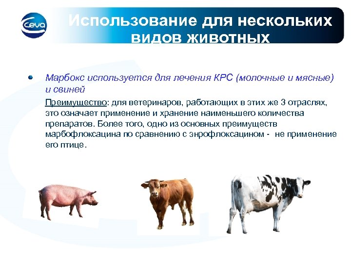 Использование для нескольких видов животных Марбокс используется для лечения КРС (молочные и мясные) и