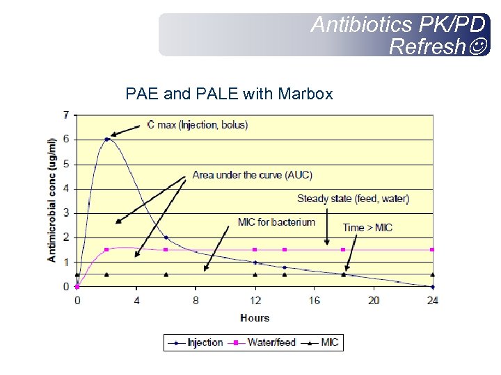 Antibiotics PK/PD Refresh PAE and PALE with Marbox 