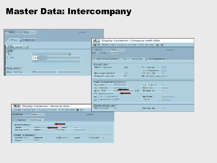 Master Data: Intercompany 