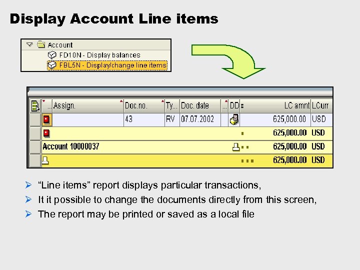 Display Account Line items Ø “Line items” report displays particular transactions, Ø It it