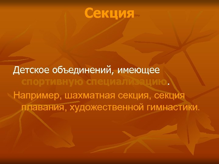 Секция Детское объединений, имеющее спортивную специализацию. Например, шахматная секция, секция плавания, художественной гимнастики. 