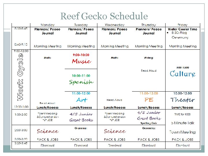 Reef Gecko Schedule 