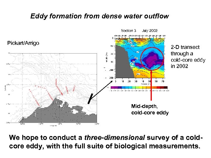 Eddy formation from dense water outflow Pickart/Arrigo 2 -D transect through a cold-core eddy