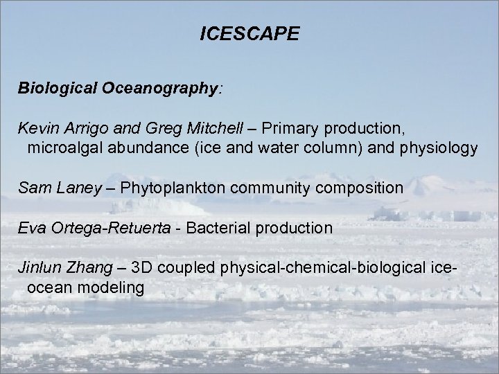 ICESCAPE Biological Oceanography: Kevin Arrigo and Greg Mitchell – Primary production, microalgal abundance (ice
