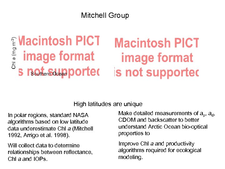 Chl a (mg m-3) Mitchell Group Southern Ocean High latitudes are unique In polar