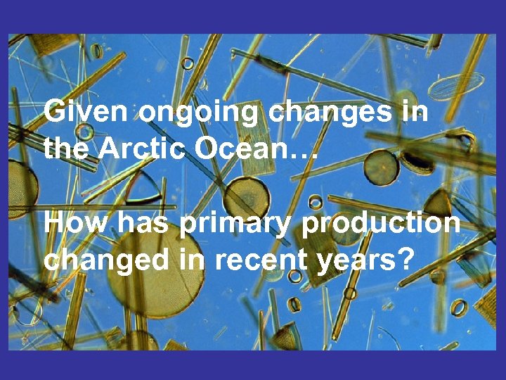 Given ongoing changes in the Arctic Ocean… How has primary production changed in recent
