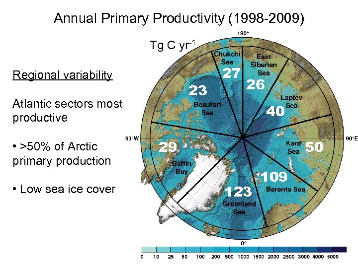 Annual Primary Productivity (1998 -2009) Tg C yr-1 Regional variability 23 Atlantic sectors most