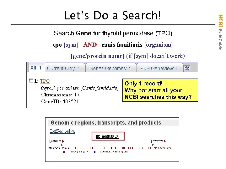 Search Gene for thyroid peroxidase (TPO) tpo [sym] AND canis familiaris [organism] [gene/protein name]