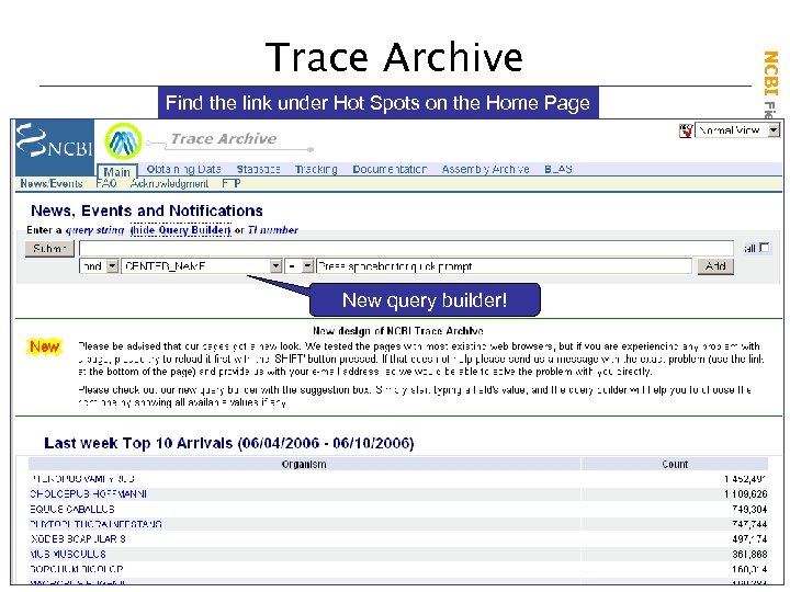 Find the link under Hot Spots on the Home Page New query builder! NCBI