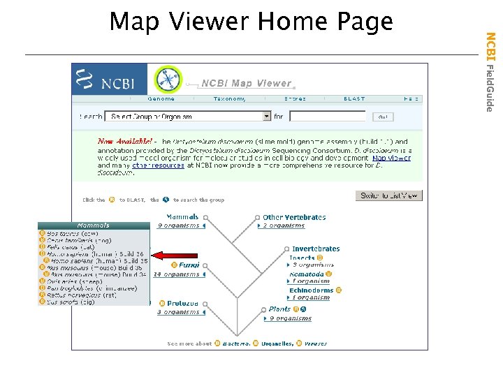 NCBI Field. Guide Map Viewer Home Page 