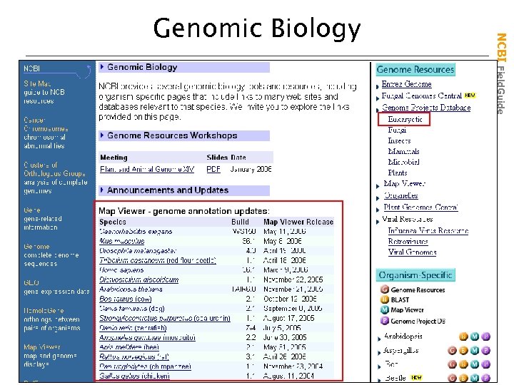 NCBI Field. Guide Genomic Biology 